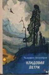 читать Кладовая ветра