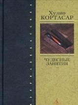 читать Чудесные занятия