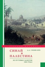 читать Синай и Палестина. Из путевых заметок 1865 года