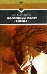 читать Последний полет «Ангела»