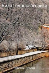 читать Визит одноклассника