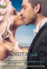 читать Королевская Академия Магии. Охота на Перерожденную