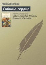 читать Собачье сердце (сборник)