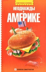 читать Неоднажды в Америке