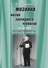 читать Мозаика жизни заурядного человека. Часть вторая. Крутые повороты