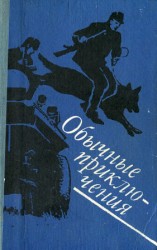 читать Обычные приключения: Повесть. Рассказы