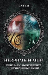 читать Незримый мир. Призраки, полтергейст, неприкаянные души