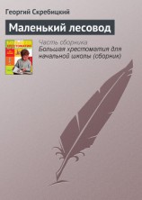 читать Маленький лесовод
