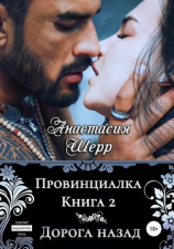 читать Провинциалка 2. Дорога назад