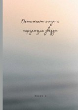 читать Ослеплённые глаза и мерцающие звёзды