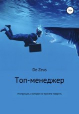 читать Топ-менеджер. Инструкция, о которой не принято говорить