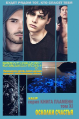 читать Осколки счастья