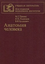 читать Анатомия человека [9-изд]