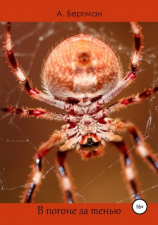читать В погоне за тенью