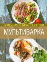 читать Мультиварка. Большая книга рецептов