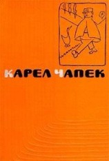 читать Минда, или о собаководстве
