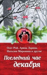 читать Последний час декабря (сборник)