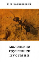 читать Маленькие труженики пустыни