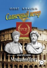 читать Солнечный ветер. Книга вторая. Младший брат