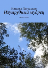 читать Мудрый мужчина