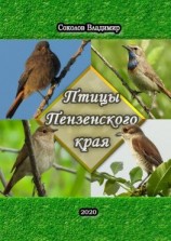 читать Птицы Пензенского края. Или моя первая фотовыставка