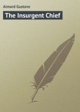 читать The Insurgent Chief