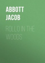 читать Rollo in the Woods