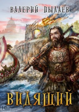 читать Видящий