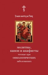 читать Услыши молитву раб Твоих. Молитвы, канон и акафисты, чтомые при онкологических заболеваниях