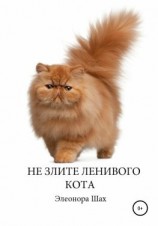 читать Сказка Не злите ленивого кота