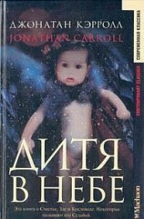 читать Дитя в небе