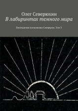 читать В лабиринтах темного мира. Похождения полковника Северцева. Том 3