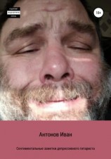 читать Сентиментальные заметки депрессивного гитариста