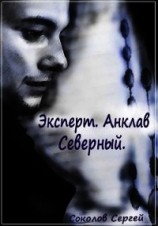 читать Анклав Северный