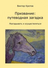 читать Призвание: путеводная загадка. Разгадывать и осуществляться