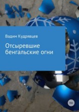 читать Отсыревшие бенгальские огни
