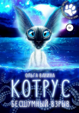 читать Котрус. Бесшумный Взрыв