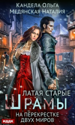 читать Латая старые шрамы. На перекрестке миров