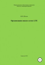 читать Организация связи в сетях LTE