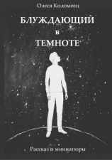 читать Блуждающий в темноте