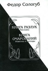 читать Книга разлук. Книга очарований