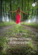 читать Сквозь паутину: перезагрузка
