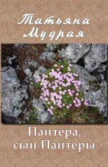 читать Пантера, сын Пантеры