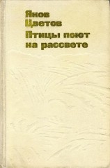 читать Птицы поют на рассвете