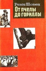 читать От пчелы до гориллы