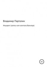 читать Инцидент (запись-ком капитана Вальтера)