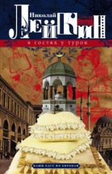читать В гостях у турок. Юмористическое описание путешествия супругов Николая Ивановича и Глафиры Семеновны Ивановых через славянские земли в Константинополь