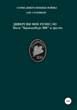 читать Диверсия  мое ремесло: полк «Бранденбург 800 и другие»