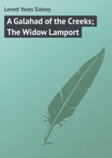 читать A Galahad of the Creeks; The Widow Lamport