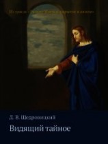читать Видящий тайное
